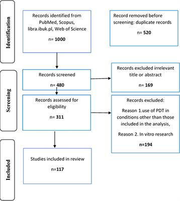 Frontiers  Advancements in photodynamic therapy of esophageal cancer